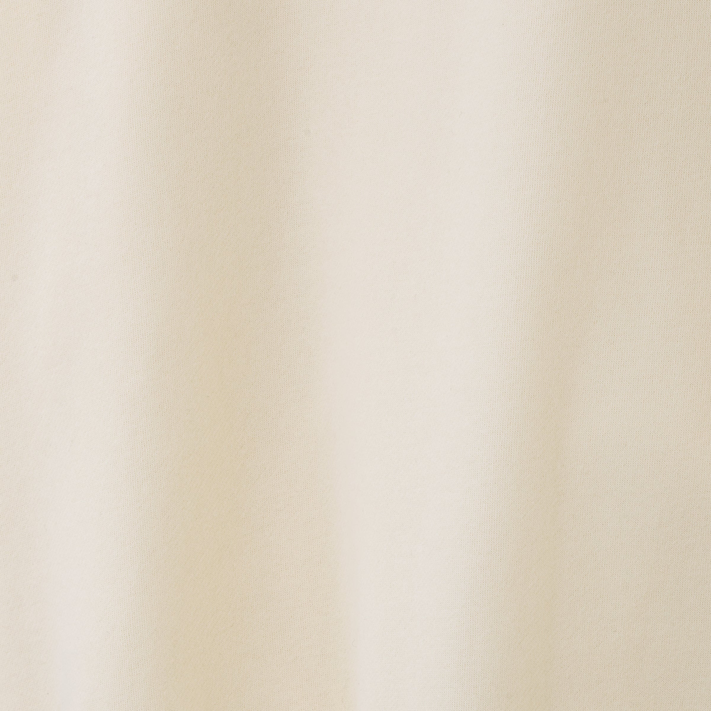 裏起毛スウェットトップス Stanley