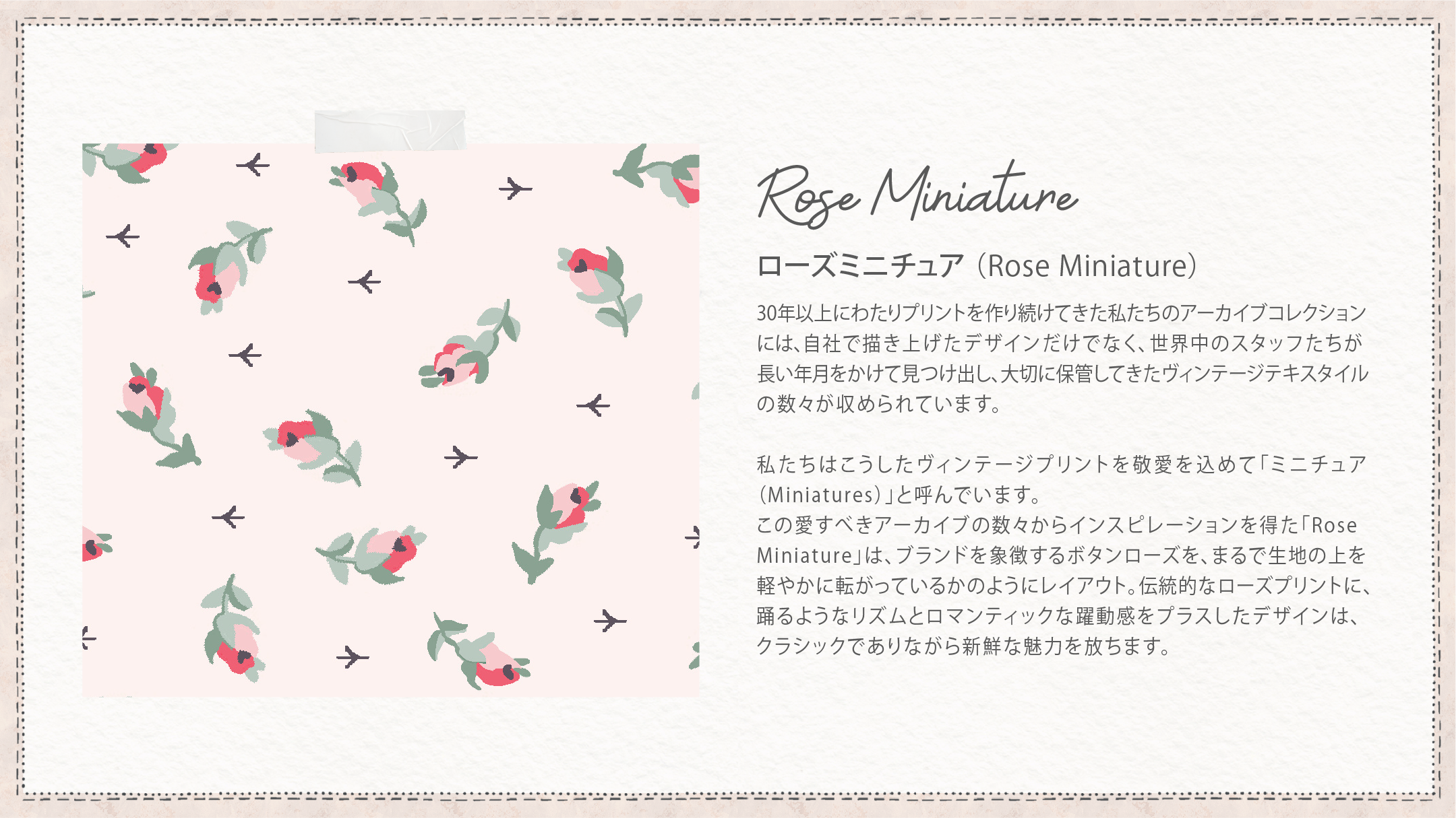 Rose Miniature