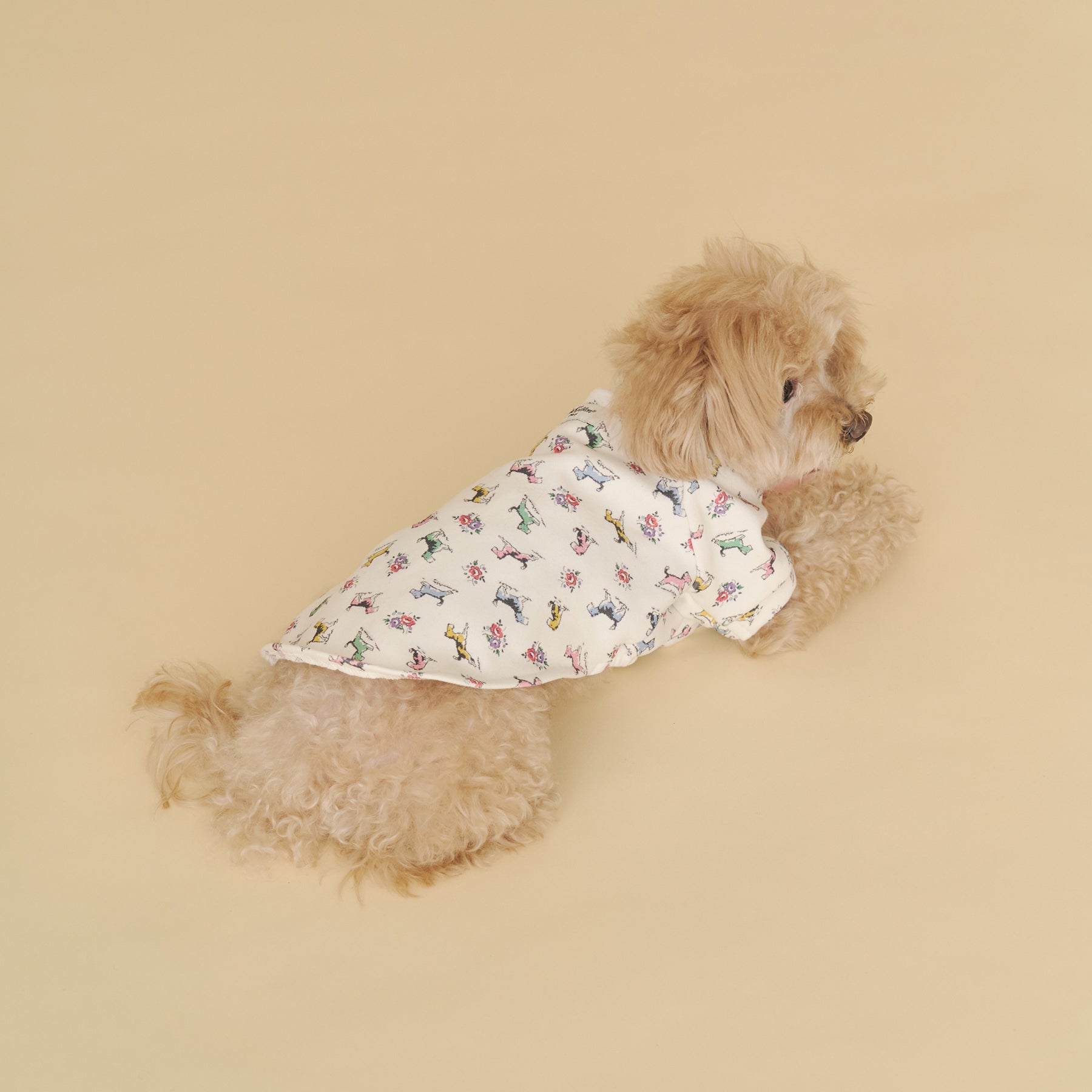 【Dog】スウェットトップス