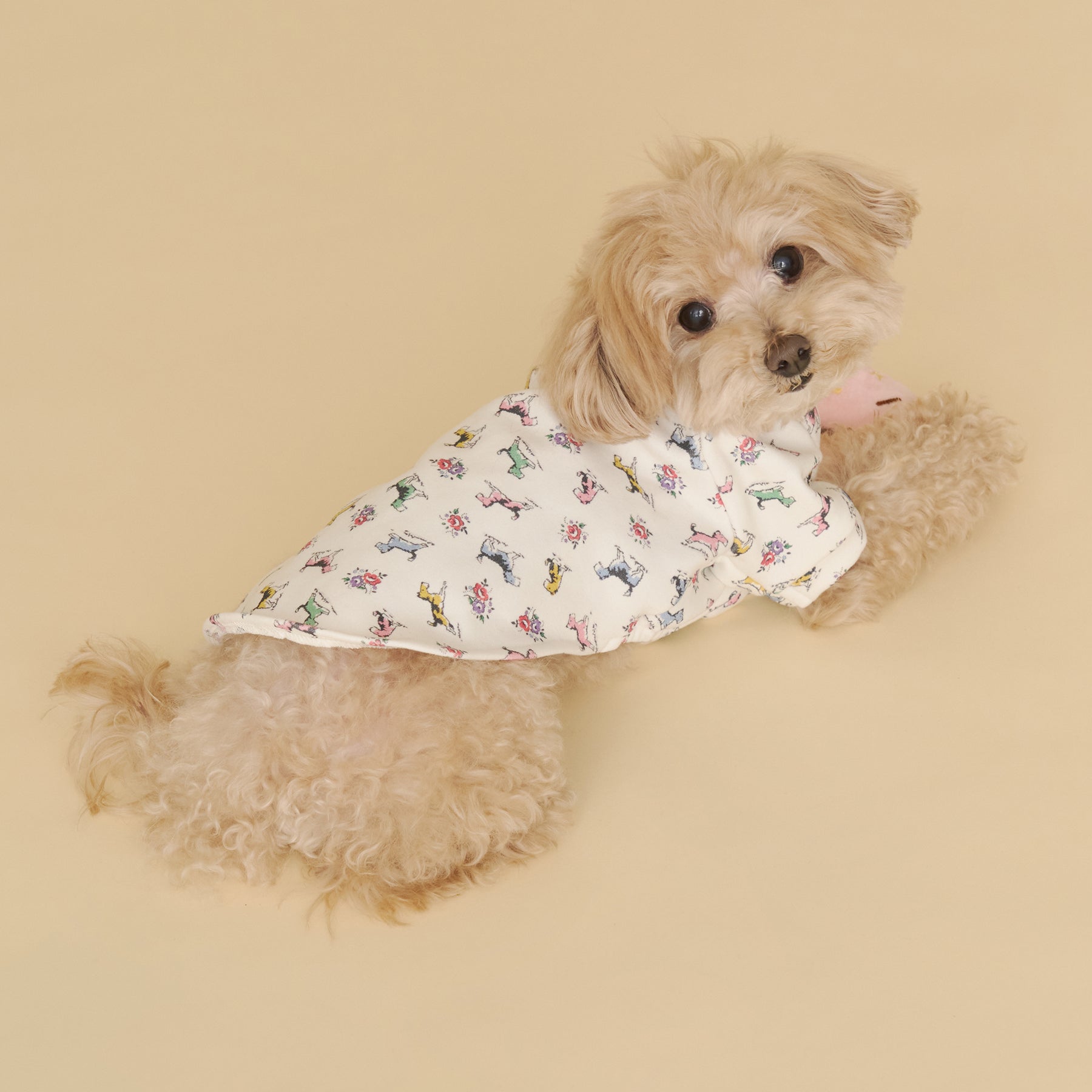 Dog】スウェットトップス Harmony Ditsy | Cath Kidston 日本公式
