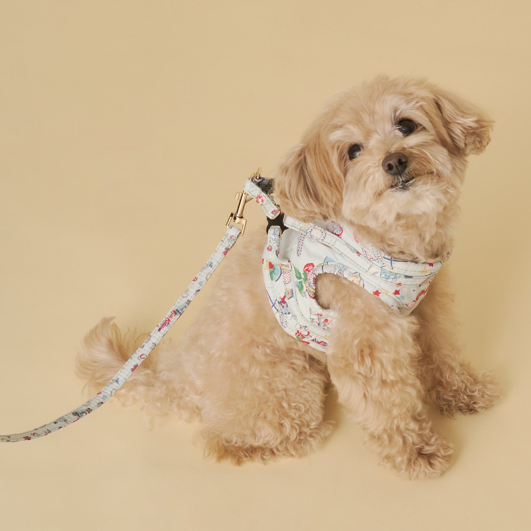 Dog】リード Harmony Ditsy | Cath Kidston 日本公式オンラインストア