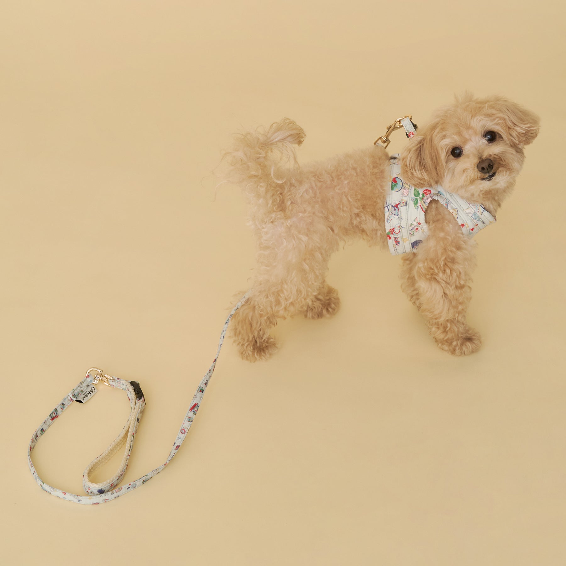 【Dog】ハーネス