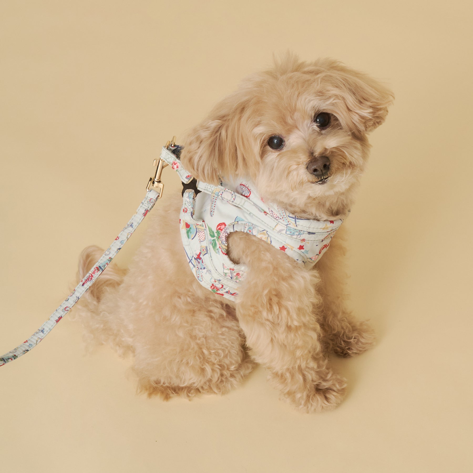 Dog】リード Harmony Ditsy | Cath Kidston 日本公式オンラインストア
